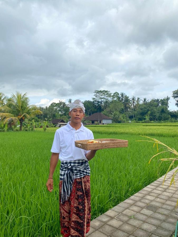 Ab Ubud Luxury Villa エクステリア 写真